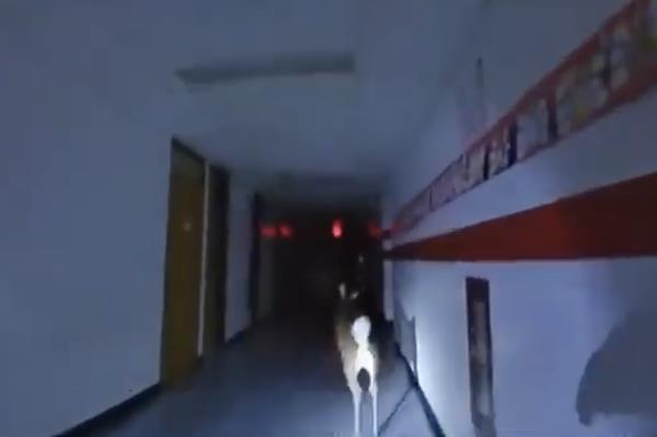 The deer crashed through a window and ran through the school's hallway.